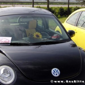 26-03-2006 - SprinGnuBittol 2006