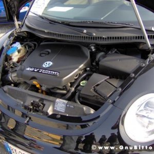 26-03-2006 - SprinGnuBittol 2006