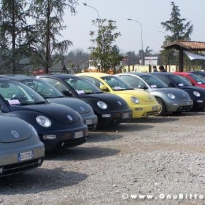 26-03-2006 - SprinGnuBittol 2006