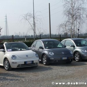 26-03-2006 - SprinGnuBittol 2006