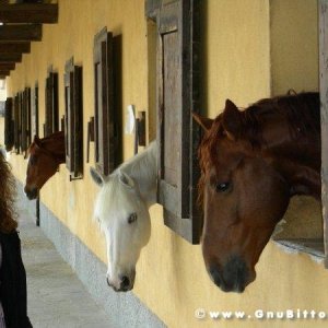 26-03-2006 - SprinGnuBittol 2006