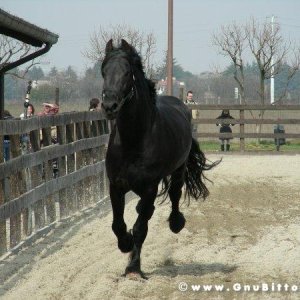 26-03-2006 - SprinGnuBittol 2006