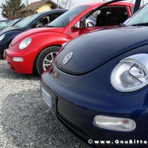 26-03-2006 - SprinGnuBittol 2006