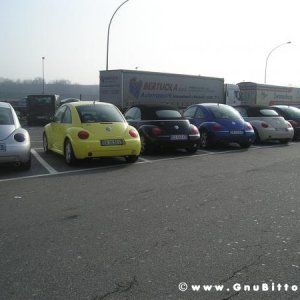 26-03-2006 - SprinGnuBittol 2006