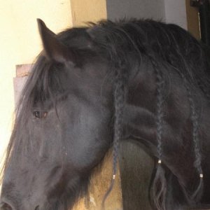 26-03-2006 - SprinGnuBittol 2006