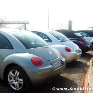 26-03-2006 - SprinGnuBittol 2006