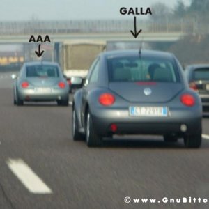 26-03-2006 - SprinGnuBittol 2006