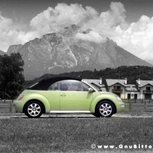 01-06-2008 - ESTremamente Gnu! 2008