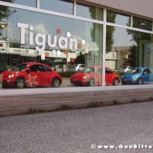 01-06-2008 - ESTremamente Gnu! 2008