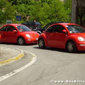 01-06-2008 - ESTremamente Gnu! 2008
