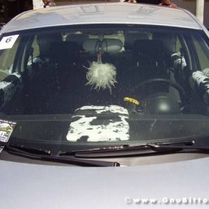 01-06-2008 - ESTremamente Gnu! 2008