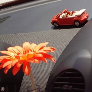 01-06-2008 - ESTremamente Gnu! 2008