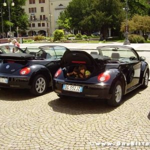 01-06-2008 - ESTremamente Gnu! 2008