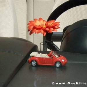 01-06-2008 - ESTremamente Gnu! 2008