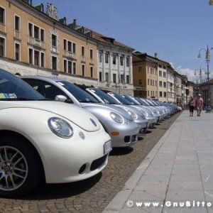 01-06-2008 - ESTremamente Gnu! 2008
