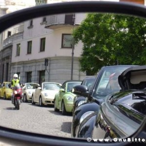 01-06-2008 - ESTremamente Gnu! 2008