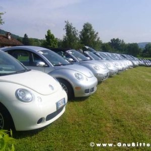 01-06-2008 - ESTremamente Gnu! 2008