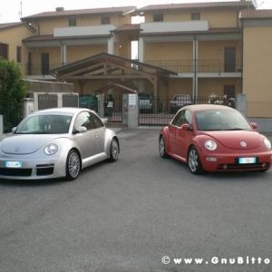 01-06-2008 - ESTremamente Gnu! 2008