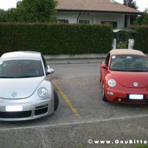 01-06-2008 - ESTremamente Gnu! 2008