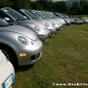 01-06-2008 - ESTremamente Gnu! 2008