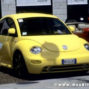 01-06-2008 - ESTremamente Gnu! 2008