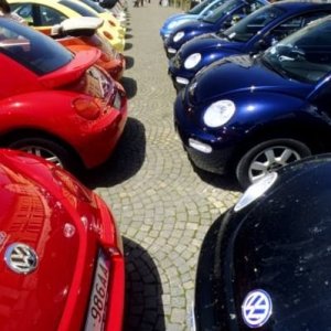 01-06-2008 - ESTremamente Gnu! 2008