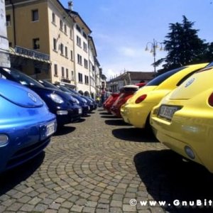 01-06-2008 - ESTremamente Gnu! 2008