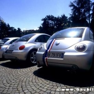 01-06-2008 - ESTremamente Gnu! 2008