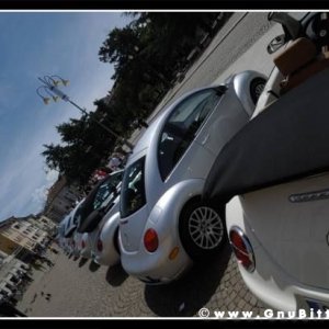 01-06-2008 - ESTremamente Gnu! 2008