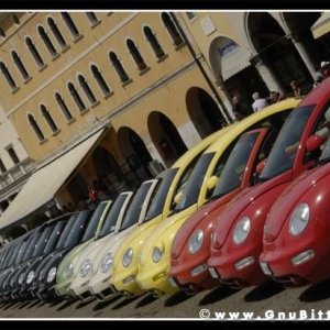 01-06-2008 - ESTremamente Gnu! 2008