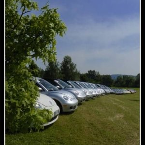 01-06-2008 - ESTremamente Gnu! 2008