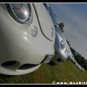 01-06-2008 - ESTremamente Gnu! 2008