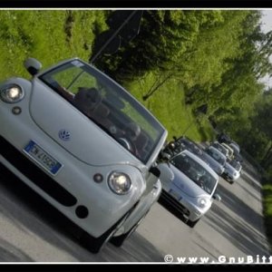 01-06-2008 - ESTremamente Gnu! 2008