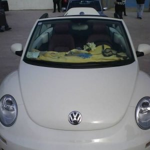 28-09-2008 - romaGNUa mia ! 2008