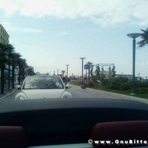 28-09-2008 - romaGNUa mia ! 2008