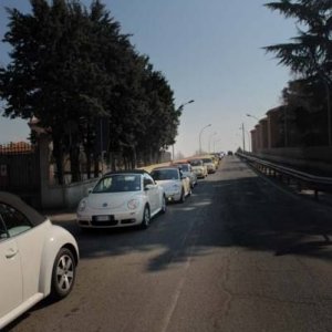 22-03-2009 - SprinGnuBittol 2009