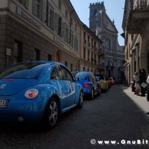 22-03-2009 - SprinGnuBittol 2009