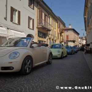 22-03-2009 - SprinGnuBittol 2009