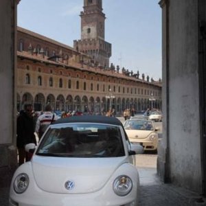 22-03-2009 - SprinGnuBittol 2009