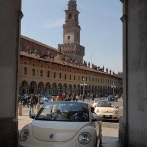 22-03-2009 - SprinGnuBittol 2009