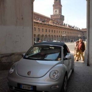 22-03-2009 - SprinGnuBittol 2009