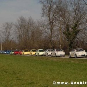 22-03-2009 - SprinGnuBittol 2009