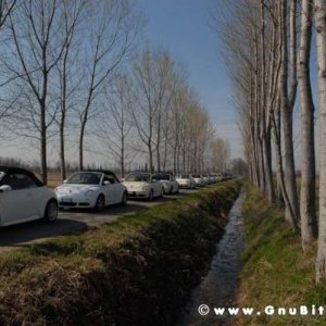 22-03-2009 - SprinGnuBittol 2009