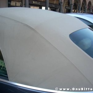 22-03-2009 - SprinGnuBittol 2009