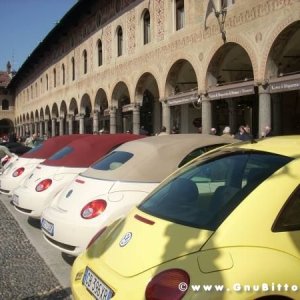 22-03-2009 - SprinGnuBittol 2009