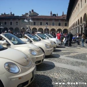 22-03-2009 - SprinGnuBittol 2009