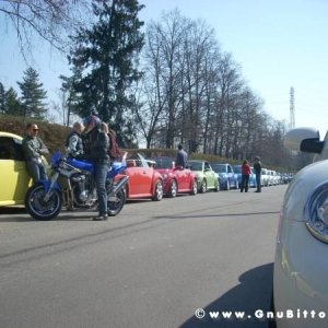 22-03-2009 - SprinGnuBittol 2009