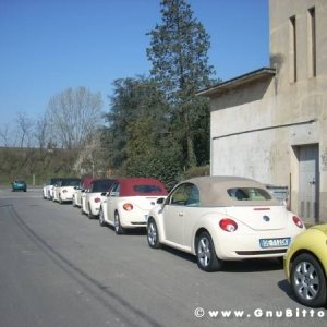 22-03-2009 - SprinGnuBittol 2009