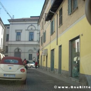 22-03-2009 - SprinGnuBittol 2009