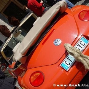 SprinGnuBittol 2009 - GnuConcorso Fotografico